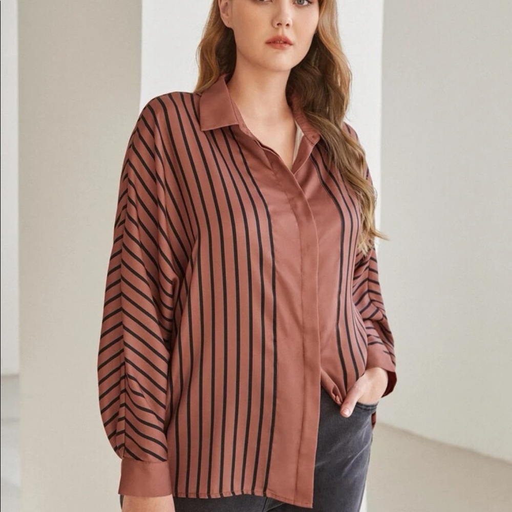 Set of three blouses , white and brown are new the other one used